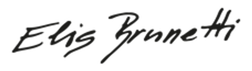 Brunetti Apartmány Jeseníky logo