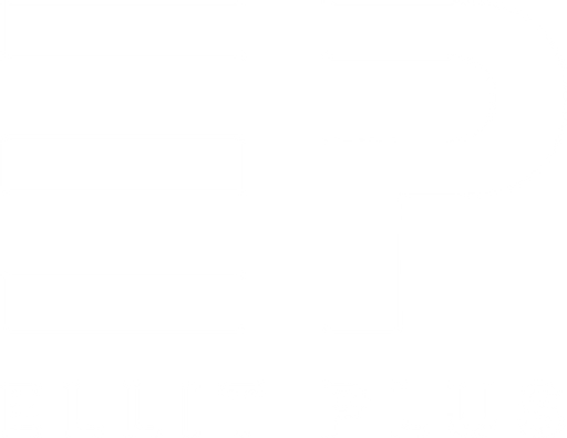 ELLIT PLUS logo
