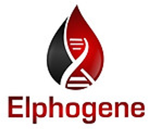 Elphogene, s.r.o. logo