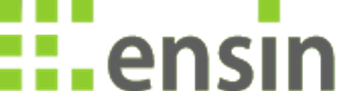 Ensin - Ing. Roman Brzoň logo