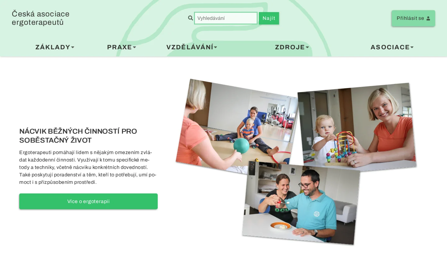 Česká asociace ergoterapeutů website