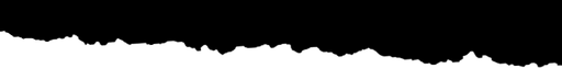 ERIMP logo