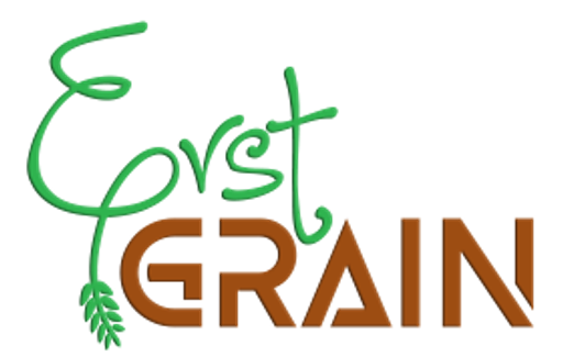 Erstgrain s.r.o. logo
