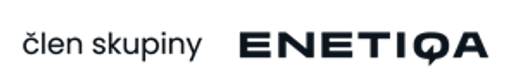 e.services s.r.o. logo