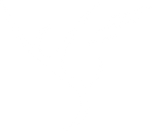 Vita Sana Club logo