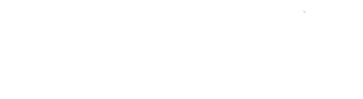 Nadace Euronisa logo