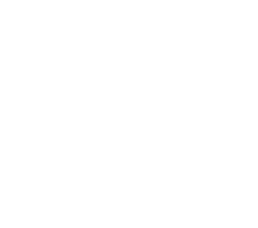 Vlasové studio Eva logo