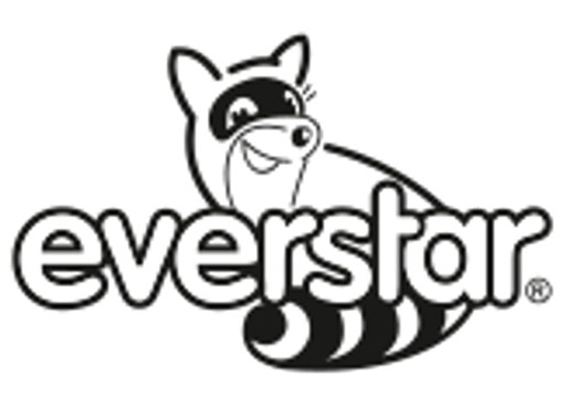 EVERSTAR, s.r.o. logo