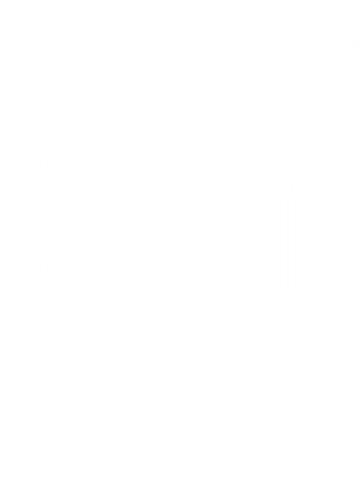 EVOokna logo