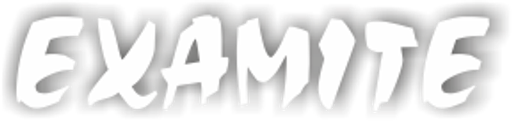 Martin Švanda - EXAMITE logo