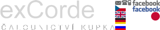 Petr Kupka - Čalounictví logo