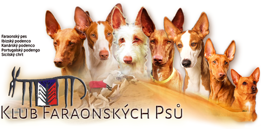 Klub Faraonských Psů logo