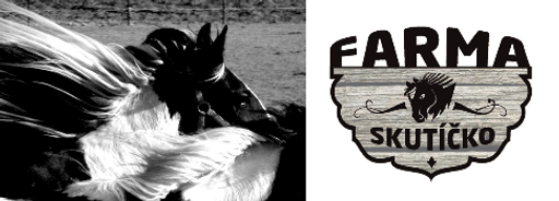 Farma Skutíčko logo