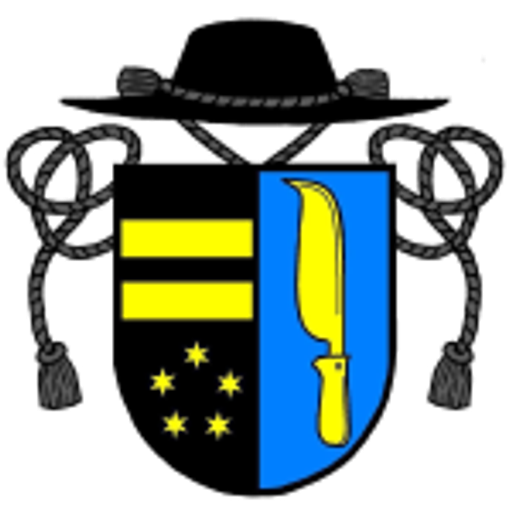 Římskokatolická farnost Plzeň u katedrály svatého Bartoloměje logo