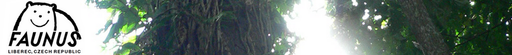 FAUNUS, o. s. logo