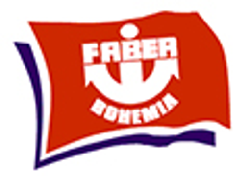 FB Izolace logo