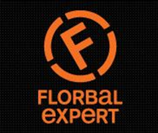FBK Fénix Orlová logo