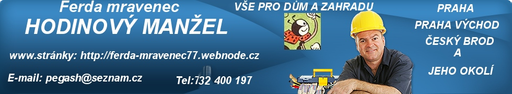 Ferda mravenec - HODINOVÝ MANŽEL logo