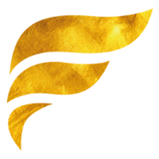 Finium group, s.r.o. logo