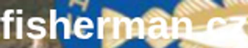 Cestovní agentura Fisherman logo