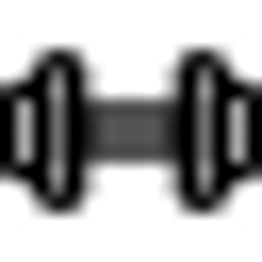 Veronika Lišková fitness trenér logo