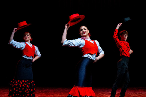 Flamenco Ostrava logo