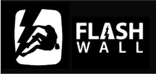 FLASH WALL logo