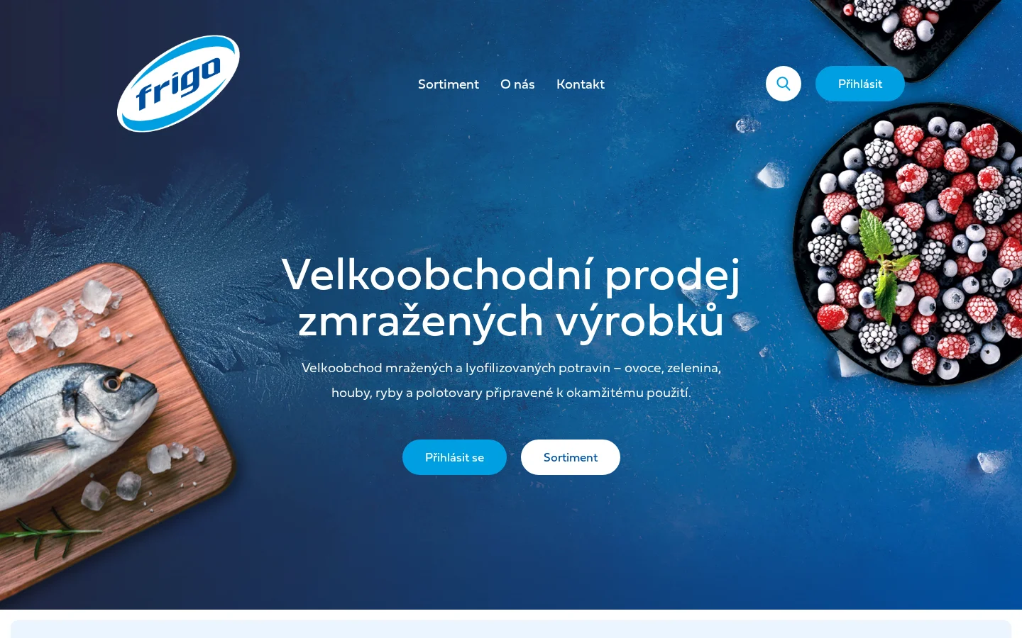 FRIGOEXIM, spol. s r.o. website