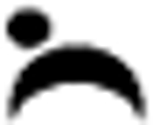 FYZIPO logo