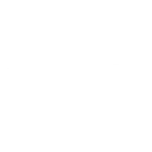 Gabriela Tichá logo