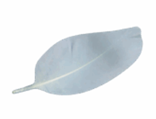 Gabriska.com logo