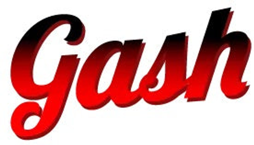 Gash.cz logo