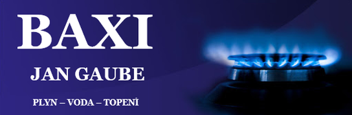 Jan Gaube - BAXI logo
