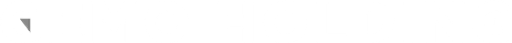 GEMO HOLDING logo
