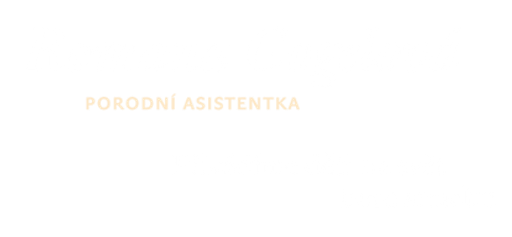 Romana Gogelová logo