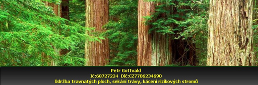 Petr Gottvald logo