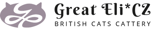 Great Eli*CZ logo