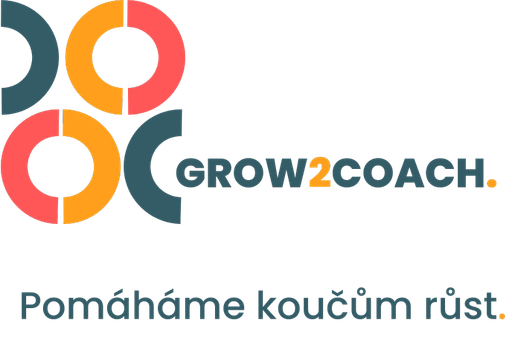 Dana Kodešová logo