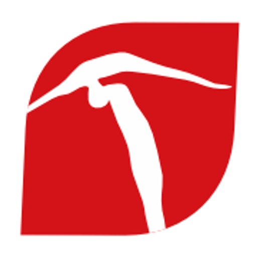 Sportovní Gymnastika Liberec z.s. logo
