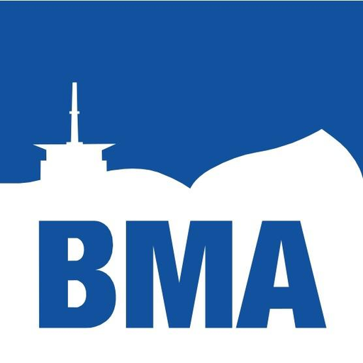 Gymnázium BESKYDY MOUNTAIN ACADEMY logo