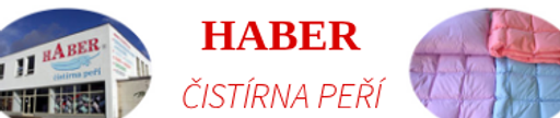HABER logo