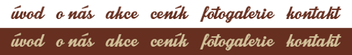 HAIR I.N. logo