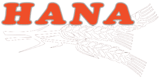 HANA CZ, s.r.o. logo
