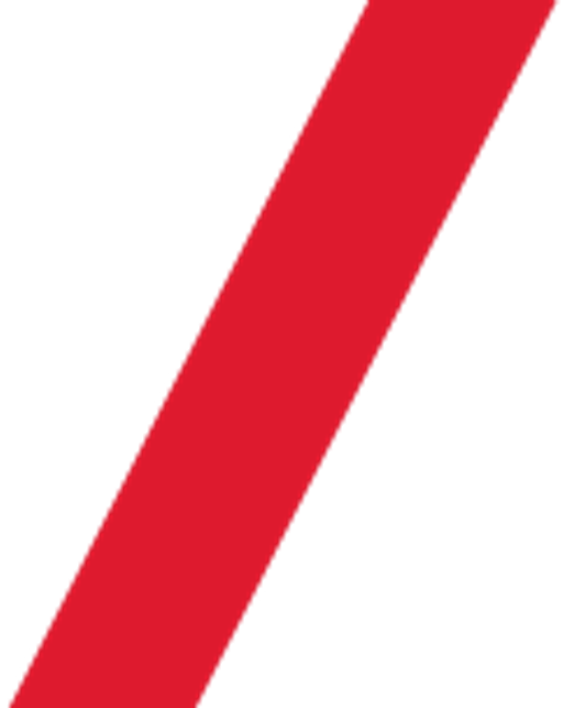 Hana Karpíšková Avenir reality logo