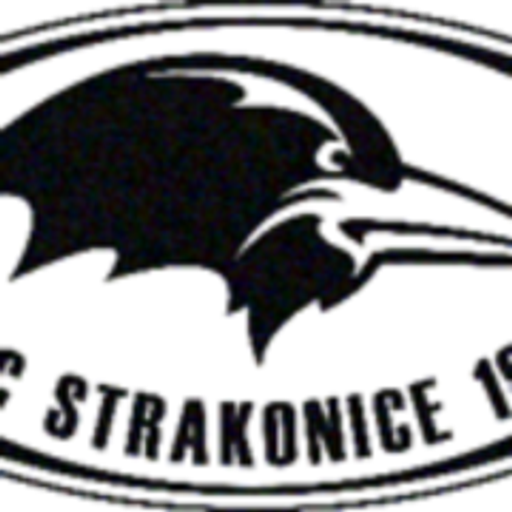 HBC Strakonice 1921 logo