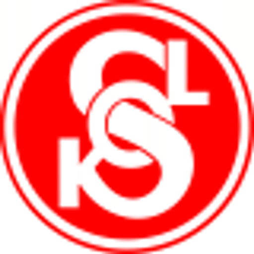 Tělocvičná jednota Sokol Velké Meziříčí logo