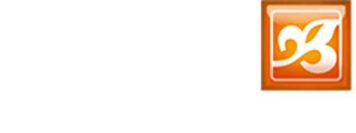 Haniš historická dlažba s.r.o. logo