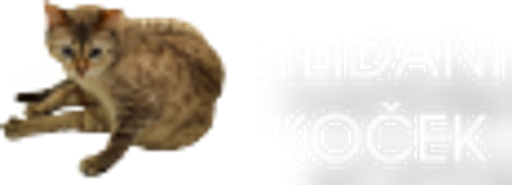 Hlídání koček doma logo