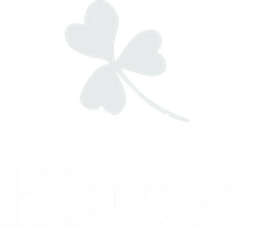Penzion Hlučov logo