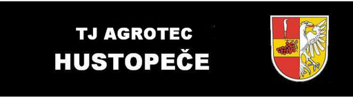 Město Hustopeče - Hokejbalové hřiště logo